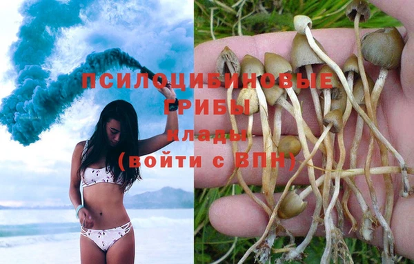 амф Киренск